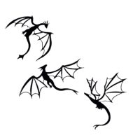 Kovová dekorace - Draci