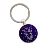 Kovový přívěsek na klíče - znamení Kozoroh